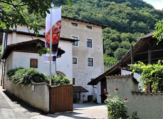 Sudtiroler Obstbaumuseum